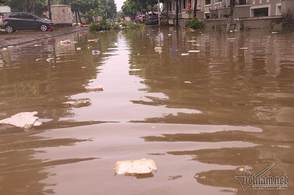 Biển nước bao vây khu biệt thự triệu đô ở Hà Nội-5