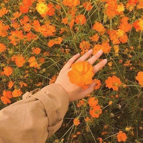 Tử vi thứ Ba ngày 6/8/2019 của 12 con giáp: Thân chuyển hướng kinh doanh, Hợi xung đột tình cảm-4