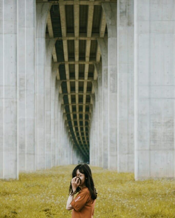 Gầm cầu Vàm Cống, góc sống ảo mới toanh ở An Giang-2