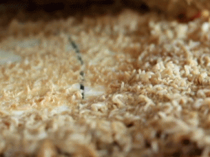 Loại pho mát được ví như thần dược kích thích chuyện ấy nhưng lại lúc nhúc giòi sống-1