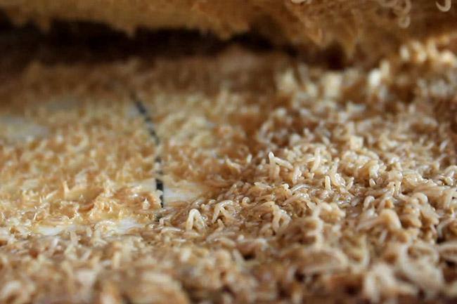 Loại pho mát được ví như thần dược kích thích chuyện ấy nhưng lại lúc nhúc giòi sống-5