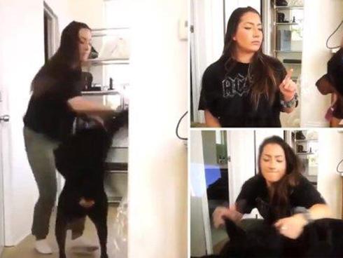 Đăng nhầm video ngược đãi thú cưng, YouTuber bị cảnh sát hỏi thăm-3