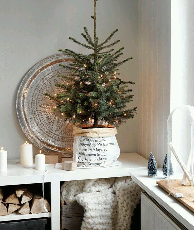 Tử vi thứ Bảy ngày 10/8/2019 của 12 con giáp: Sửu tiền bạc rủng rỉnh, Mão bệnh cũ tái phát-2