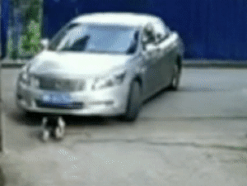Clip: Nhờ 'thần linh' phù hộ, bé gái 3 tuổi bị ô tô cán trúng 2 lần vẫn thoát chết