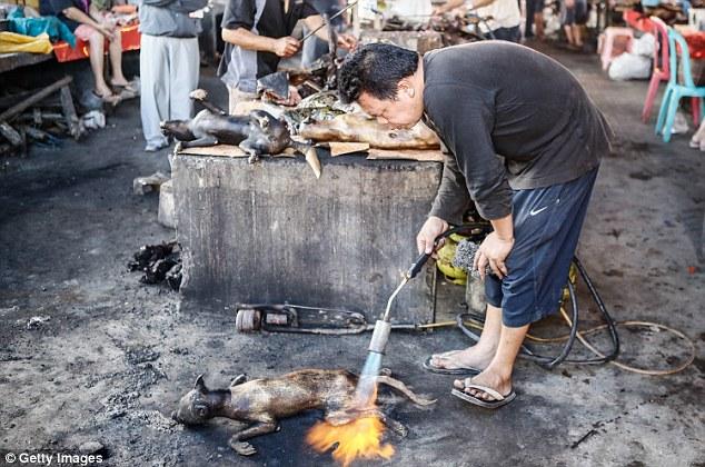 Những món ăn đáng sợ bán đầy ở chợ Indonesia khiến thực khách hết hồn-3