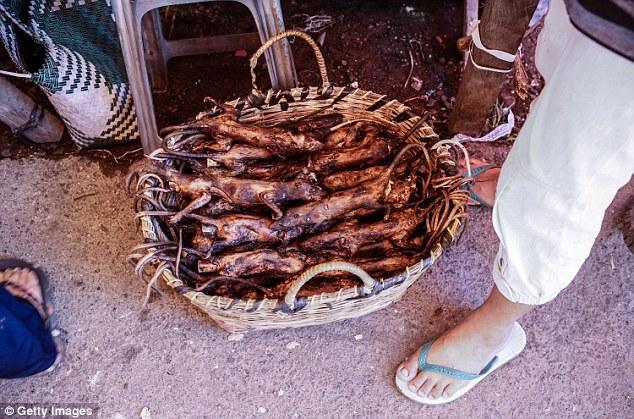 Những món ăn đáng sợ bán đầy ở chợ Indonesia khiến thực khách hết hồn-6
