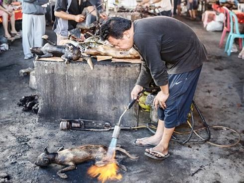 Chỉ cần 2 nguyên liệu đơn giản để cọ ấm siêu tốc sạch bong không cần rửa trong 1 năm-5