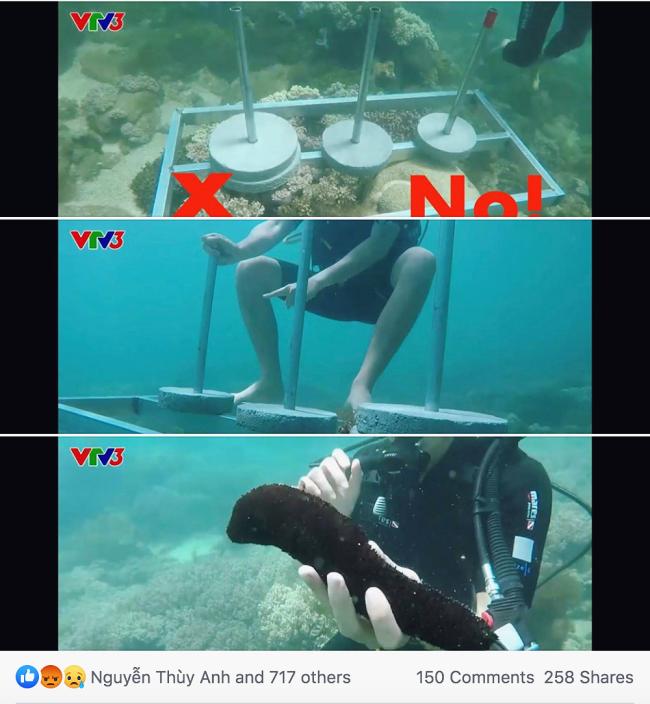 Cựu quán quân Cuộc đua kỳ thú Ngọc Anh tố êkip chương trình phá hoại môi trường biển khi quay hình-3