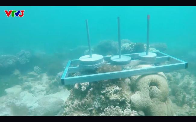 Cựu quán quân Cuộc đua kỳ thú Ngọc Anh tố êkip chương trình phá hoại môi trường biển khi quay hình-4