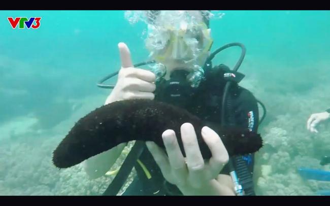 Cựu quán quân Cuộc đua kỳ thú Ngọc Anh tố êkip chương trình phá hoại môi trường biển khi quay hình-7