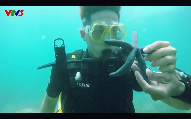 Cựu quán quân Cuộc đua kỳ thú Ngọc Anh tố êkip chương trình phá hoại môi trường biển khi quay hình-8