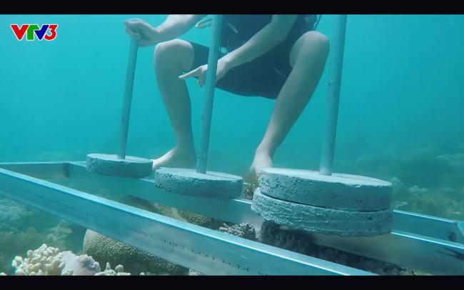 Cựu quán quân Cuộc đua kỳ thú Ngọc Anh tố êkip chương trình phá hoại môi trường biển khi quay hình-5