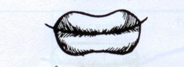 Phụ nữ sở hữu tướng miệng này, cả đời ắt vất vả truân chuyên, làm không đủ tiêu-1