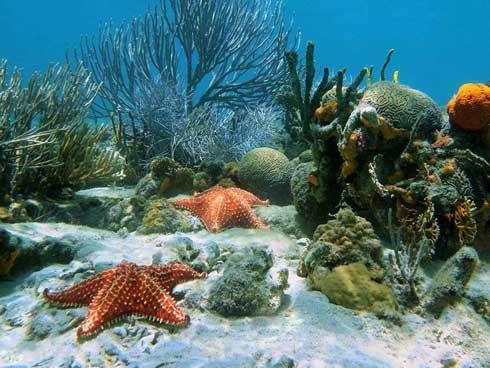 7 vùng đất bí ẩn chưa được khám phá ở 'nơi tận cùng thế giới'