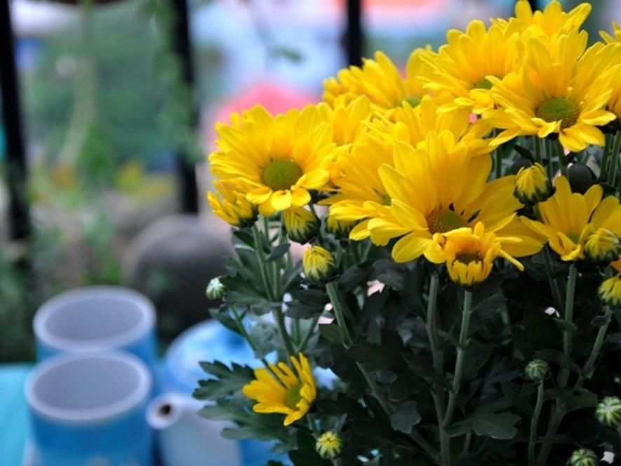 Rằm tháng 7: Muốn may mắn gõ cửa, tiền bạc ập vào nhà ào ào gia chủ hãy đặt ngay thứ này lên bàn thờ-3