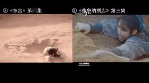 Phim hot của IU bị khán giả Trung Quốc tố đạo nhái Đông Cung-2