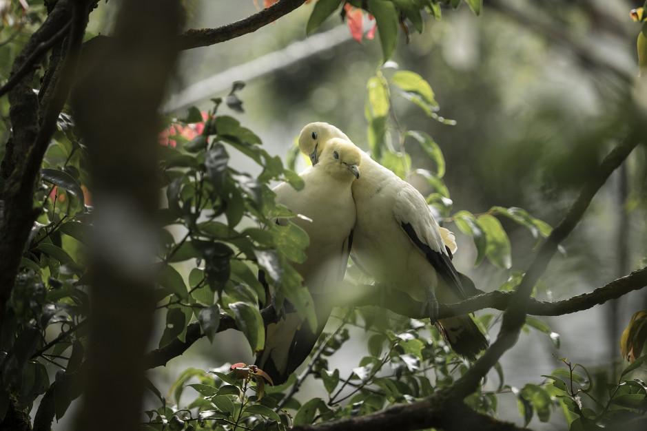 Bức ảnh cụ ông cụ bà Việt nhìn nhau cười hạnh phúc được lên báo nước ngoài, lọt khoảnh khắc tình yêu đẹp nhất-13