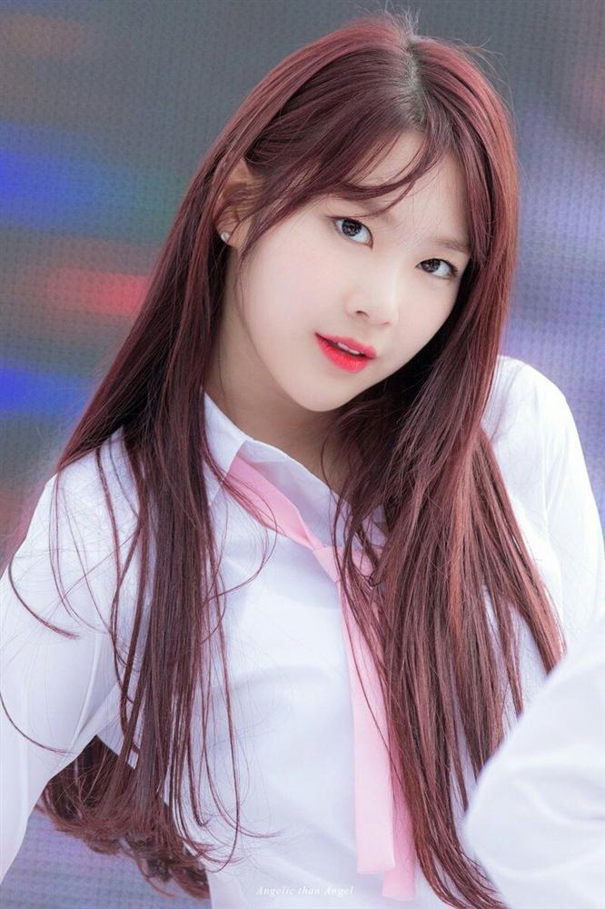 Tử vi thứ Năm ngày 15/8/2019 của 12 con giáp: Sửu gặt hái nhiều thành công, Mão nên nhường nhịn người ấy-1