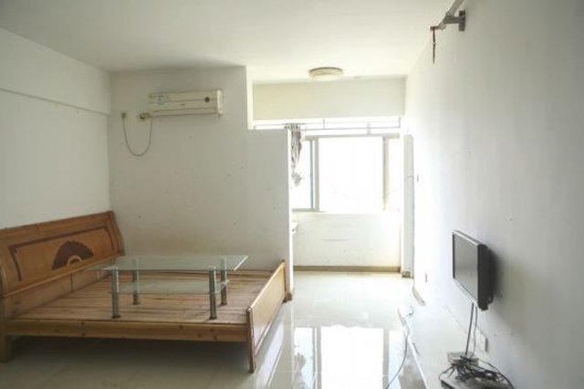 Cho gái xinh thuê trọ hơn 1 năm, chủ nhà hết hồn khi nhận phòng về là bãi rác siêu to khổng lồ-2