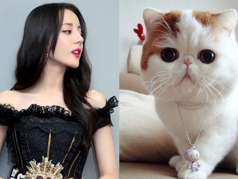 6 giấc mơ điềm báo sắp trúng quả trời cho, giàu bất thình lình-4