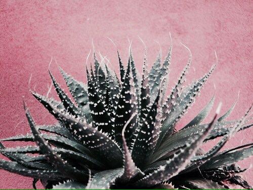 Tử vi thứ Bảy ngày 17/8/2019 của 12 con giáp: Mùi kiểm tra lại sức khỏe, Dậu thăng hoa chuyện tình cảm-4