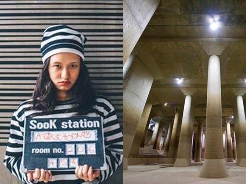 Trải nghiệm lối đi dưới nước với đàn cá Koi nghìn con-1