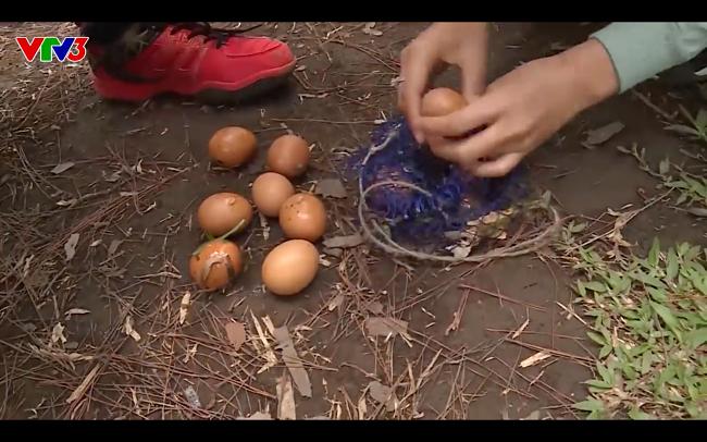 Cuộc đua kỳ thú tập 7: Dân mạng bất bình khi chương trình như muốn tẩy trắng cho Đỗ Mỹ Linh-4