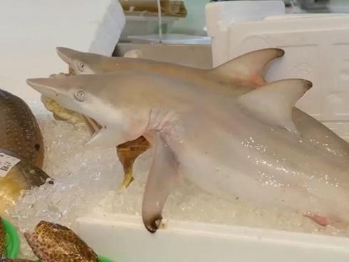 Nhìn cứ tưởng món ăn Việt nhưng là đặc sản nức tiếng và kỳ công của người Malaysia-8