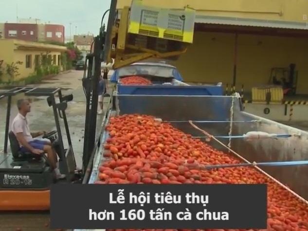 160 tấn cà chua nhuộm đỏ thị trấn ở Tây Ban Nha-1