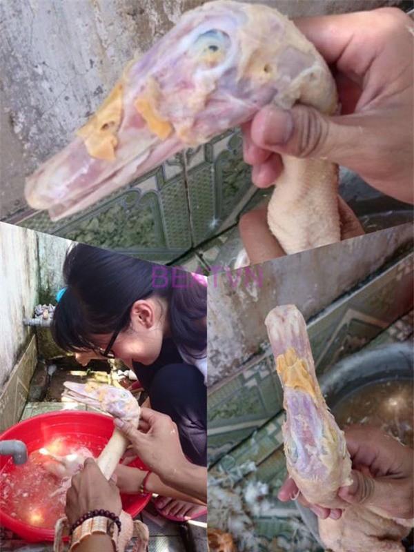 Làm thịt vịt ngày ra mắt nhà người yêu, thanh niên không biết vì sao mình bị từ chối phũ phàng-2