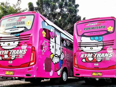 Thực hư việc xuất hiện xe đi Đà Lạt phiên bản 'HELLO KITTY' toàn màu hồng làm tín đồ du lịch 'đứng ngồi không yên'