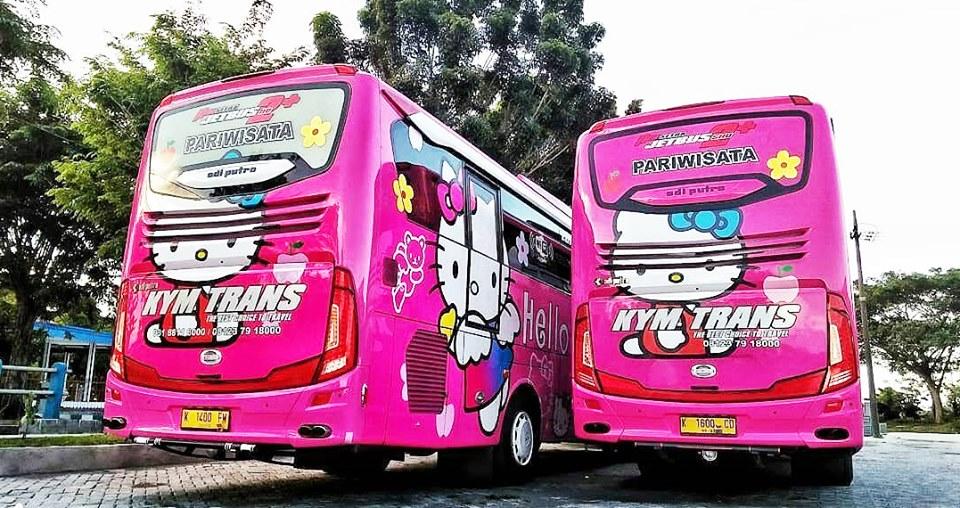 Thực hư việc xuất hiện xe đi Đà Lạt phiên bản HELLO KITTY toàn màu hồng làm tín đồ du lịch đứng ngồi không yên-3