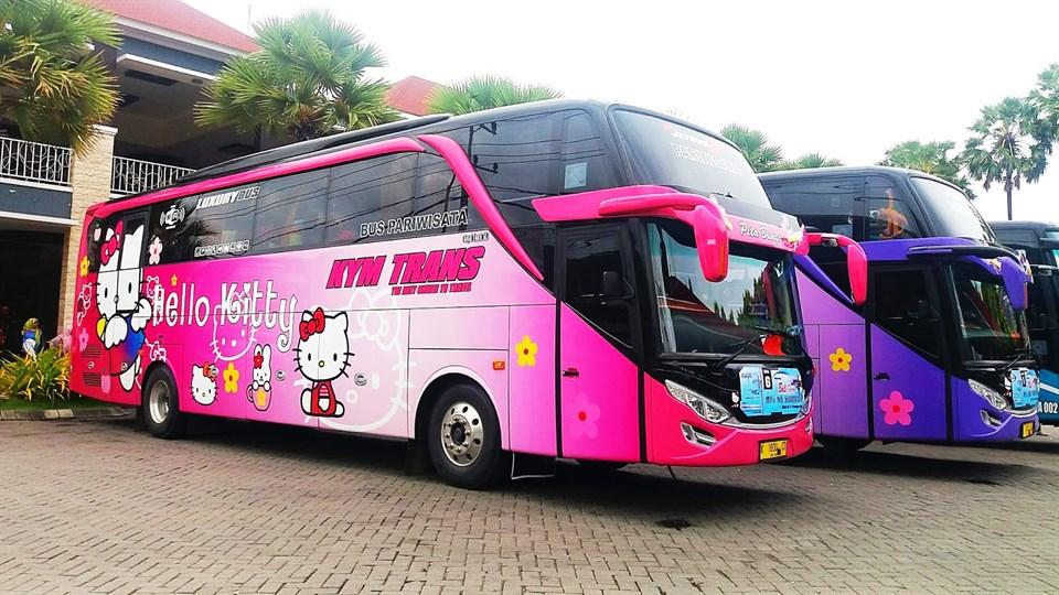 Thực hư việc xuất hiện xe đi Đà Lạt phiên bản HELLO KITTY toàn màu hồng làm tín đồ du lịch đứng ngồi không yên-6