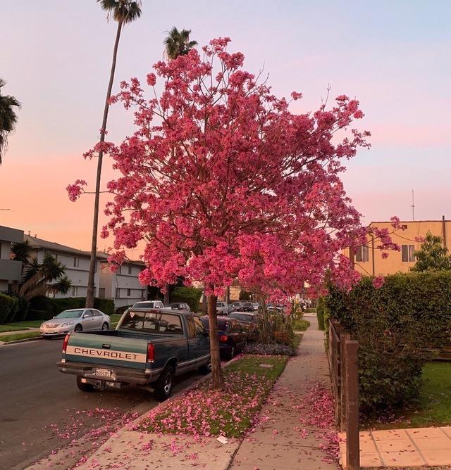 Tử vi thứ Tư ngày 21/8/2019 của 12 con giáp: Sửu làm gì cũng thành công, Mão bị cấp trên trách mắng-2
