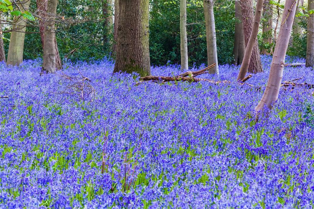 Mát mắt với những địa điểm màu xanh dương trên thế giới-6