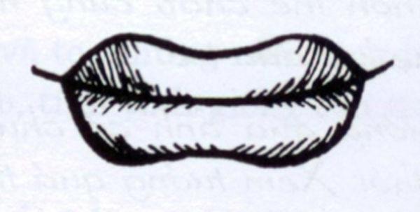 Đàn ông sở hữu tướng miệng này sớm muộn ắt thành danh, thương vợ yêu con hết mực-1