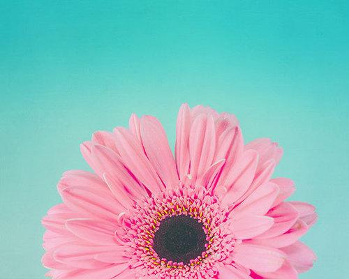 Tử vi thứ Bảy ngày 24/8/2019 của 12 con giáp: Mùi chán nản vì tình duyên không tới, Dậu tăng ca chồng chất việc cơ quan-2