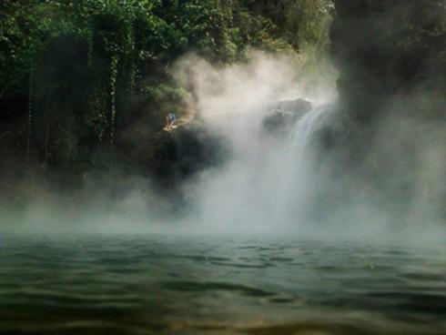 Những sinh vật sống lâu nhất trái đất, tuổi đời hàng trăm năm-8