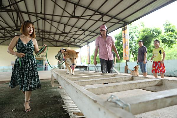 3 chú chó ta ấn tượng trên màn ảnh Việt, diễn xuất không kém cạnh chó ngoại-2