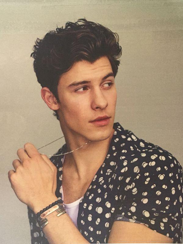 Shawn Mendes bất ngờ bị cộng đồng mạng ném đá vì có hành động kì thị LGBT-2