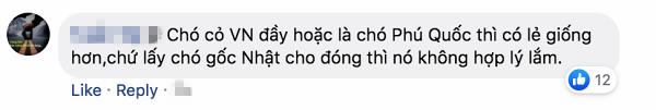 Mặc kệ những lời chỉ trích, NSX phim Cậu Vàng cương quyết không loại chú chó Nhật thuần chủng-1