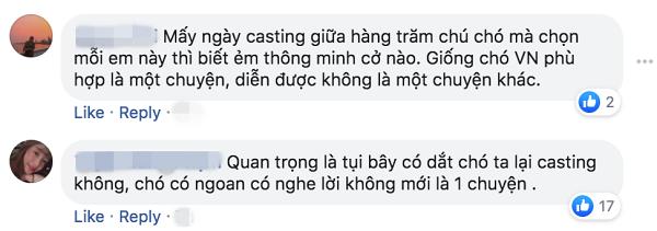 Mặc kệ những lời chỉ trích, NSX phim Cậu Vàng cương quyết không loại chú chó Nhật thuần chủng-4