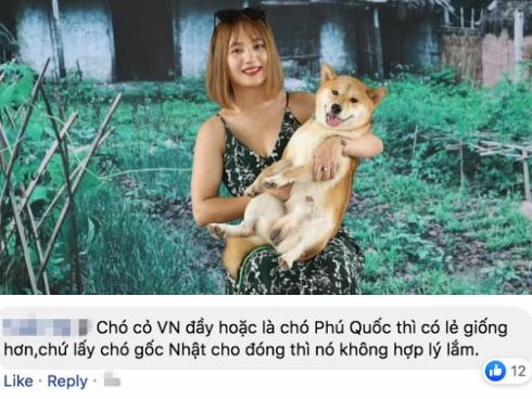 Ảnh chế tâm tư của cậu Vàng khi bị biến thành giống Shiba Inu-8