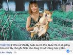 3 chú chó ta ấn tượng trên màn ảnh Việt, diễn xuất không kém cạnh chó ngoại-12