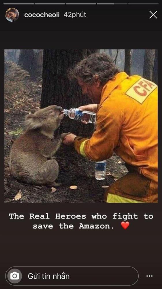 Hot girl bị tố sống ảo khi share nhầm ảnh về vụ cháy rừng Amazon-1