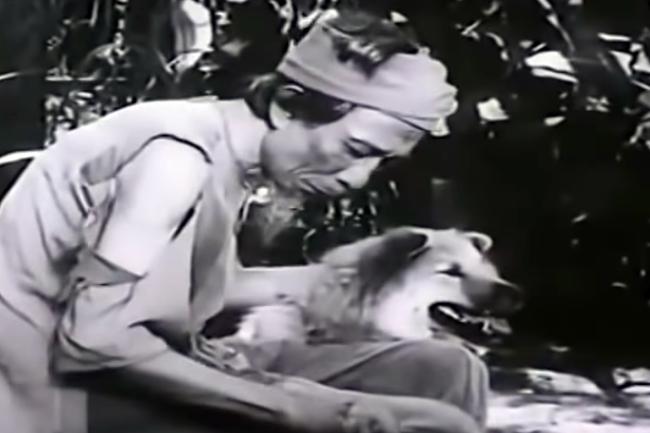 3 chú chó ta ấn tượng trên màn ảnh Việt, diễn xuất không kém cạnh chó ngoại-3