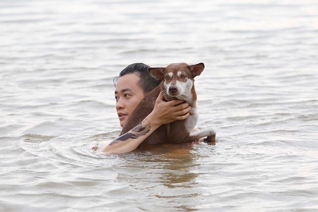 3 chú chó ta ấn tượng trên màn ảnh Việt, diễn xuất không kém cạnh chó ngoại-10