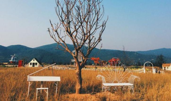 Dịp 2/9, đi Đà Nẵng nhớ check in 4 địa điểm siêu đẹp này để có những bức hình lung linh-3