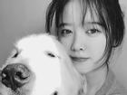 'Nàng cỏ' Goo Hye Sun quyên tiền từ thiện sau scandal ly hôn Ahn Jae Hyun