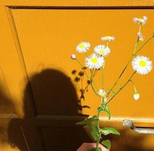 Tử vi thứ Năm ngày 29/8/2019 của 12 con giáp: Thìn dễ sai sót công việc, Ngọ nên mở lòng yêu đương-2